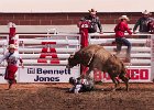 Bull Rider down